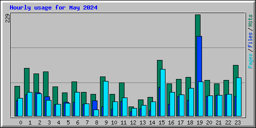 Hourly usage for May 2024