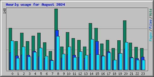 Hourly usage for August 2024