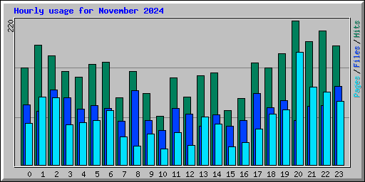 Hourly usage for November 2024
