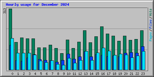 Hourly usage for December 2024