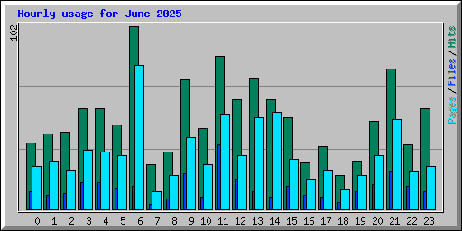 Hourly usage for June 2025
