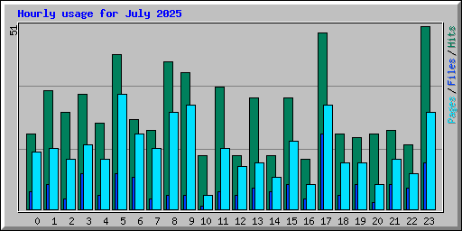 Hourly usage for July 2025